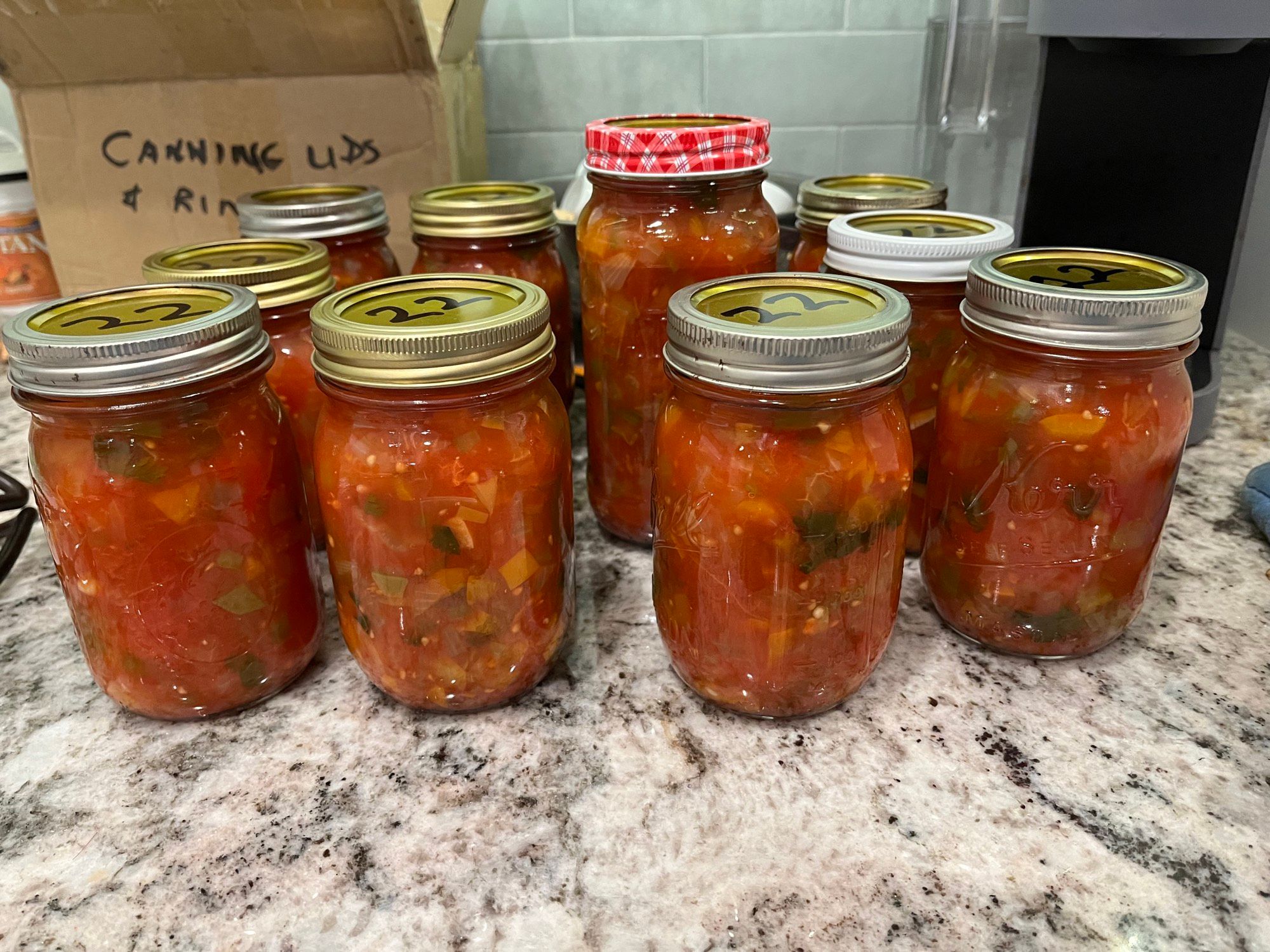 Nine jars of home-canned salsa with metal lids on a granite counter, chunks of tomato, sweet pepper, and jalapeño visible through the glass; a "Canning Lids & Rings" box behind.